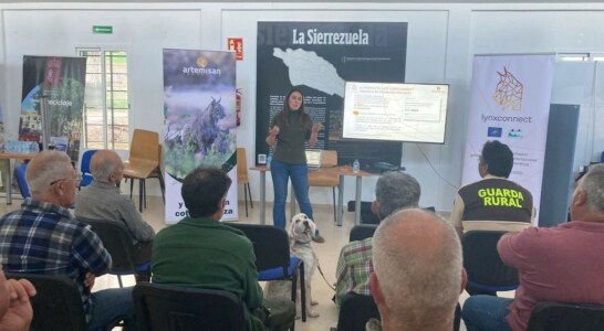 Finalizan los encuentros del LIFE LYNXCONNECT con cazadores y gestores en Andalucía